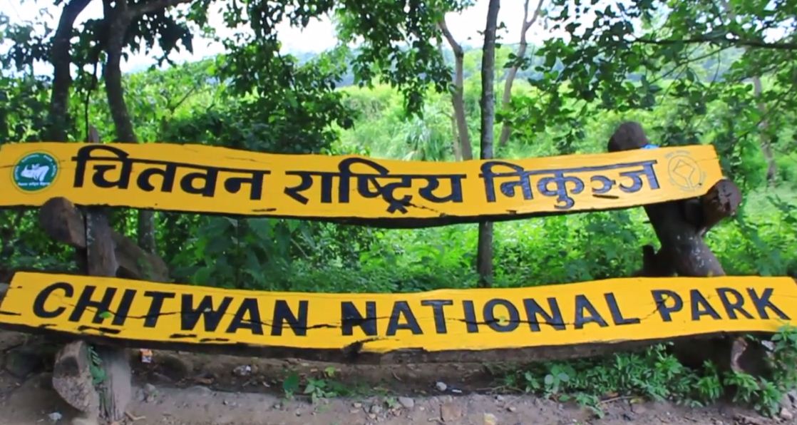 घाँसेमैदान थप्दै चितवन राष्ट्रिय निकुञ्ज image