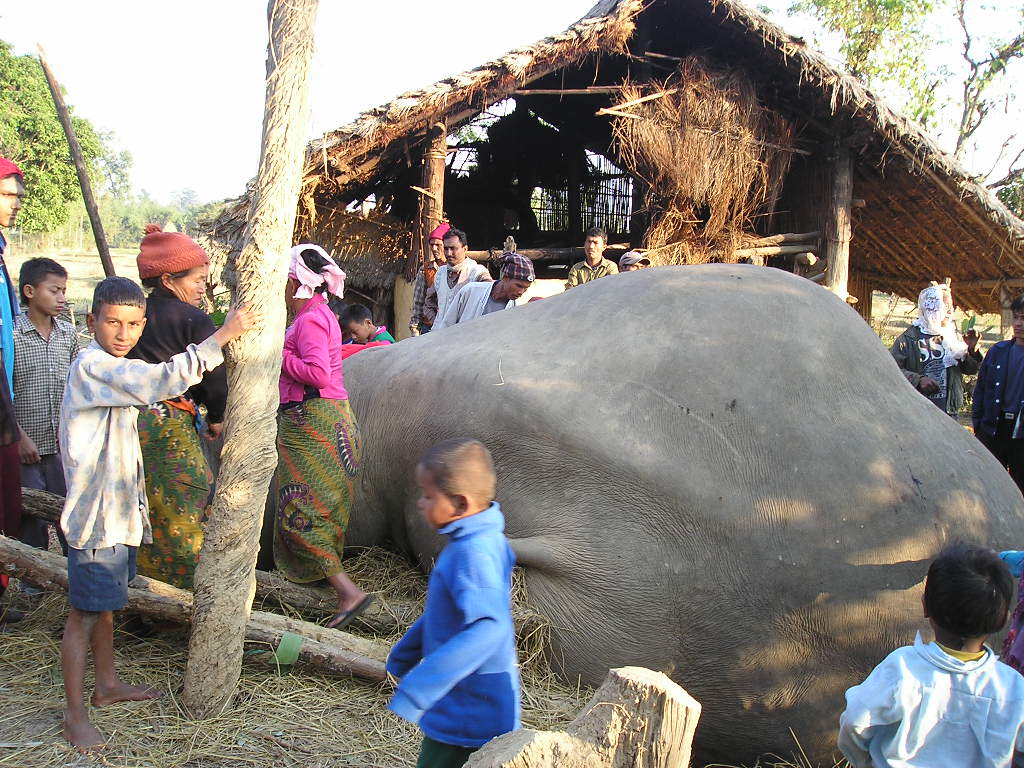 हात्तीबाट बस्ती जोगाउन विद्युतीय घेराबार image
