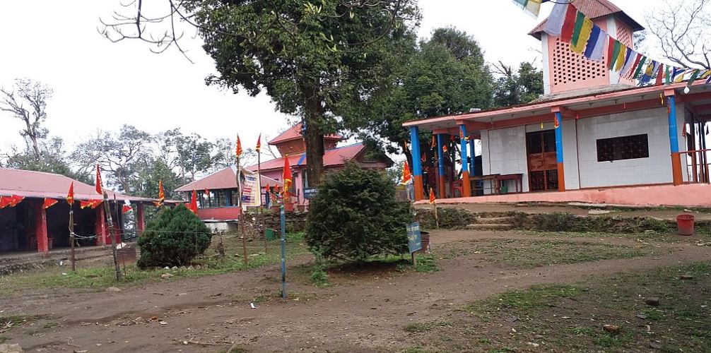 धातुजन्य किला ठोक्दा पाथीभरा क्षेत्रका बोटबिरुवा नासिँदै image