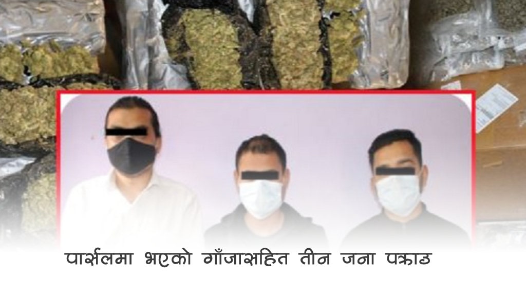 गाँजासहित तीन जना पक्राउ image