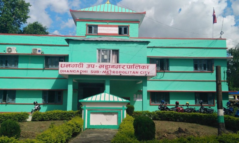 सडक हरियाली बनाउने अभियानमा धनगढी उपमहानगर image