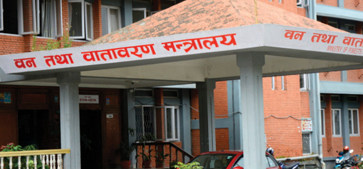 वन पैदावार समितिका कर्मचारी सात महिनादेखि तलबविहीन image