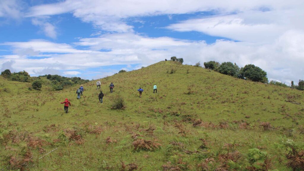 आन्तरिक पर्यटकको रोजाइमा मैस्याङटार