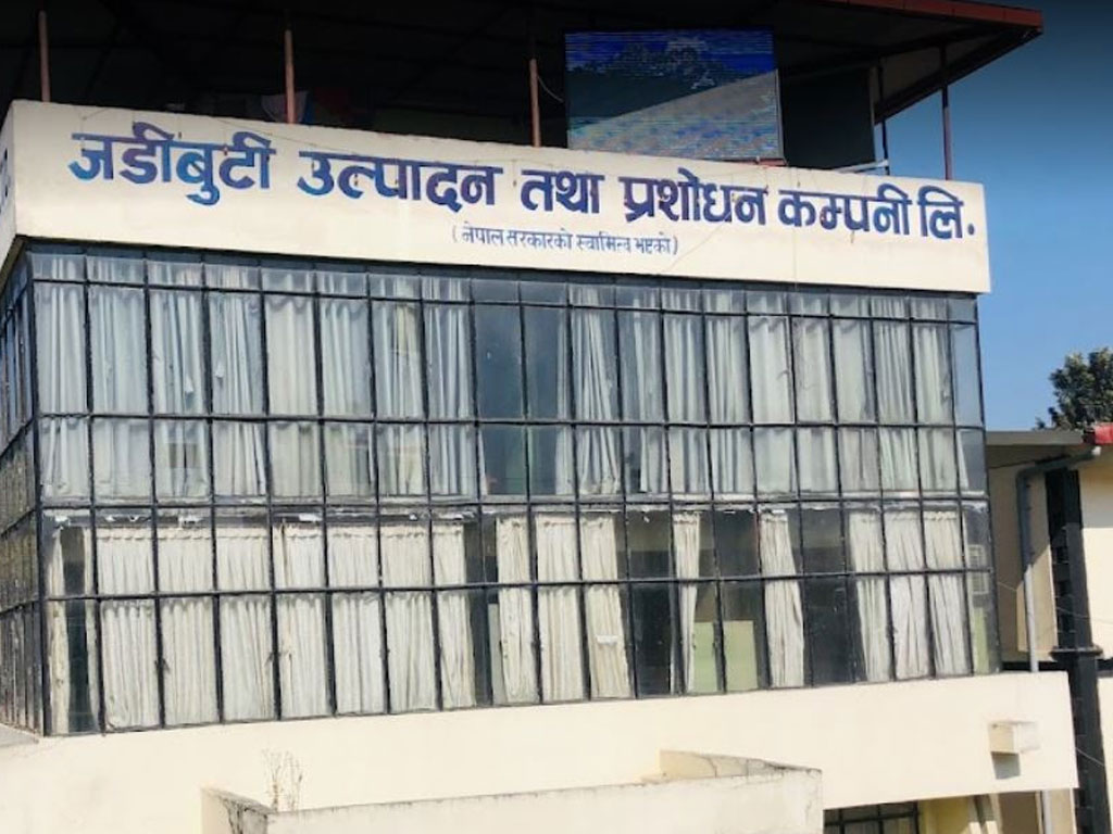 नियुक्ति पत्र र सामाजिक सुरक्षा कोषमा समावेश गर्न माग image