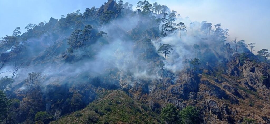 समाचार चार जनाको मृत्यु हुने गरी भएको आगलागीमा संलग्न चार जना पक्राउ