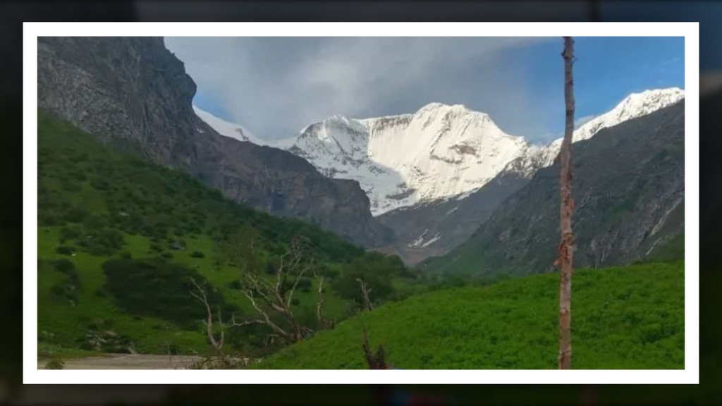 बालबालिका यार्सा टिप्न गएपछि विद्यालय एक महिनाका लागि बन्द