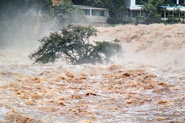 भीषण वर्षाका कारण पाकिस्तानमा २८ जनाको ज्यान गयो