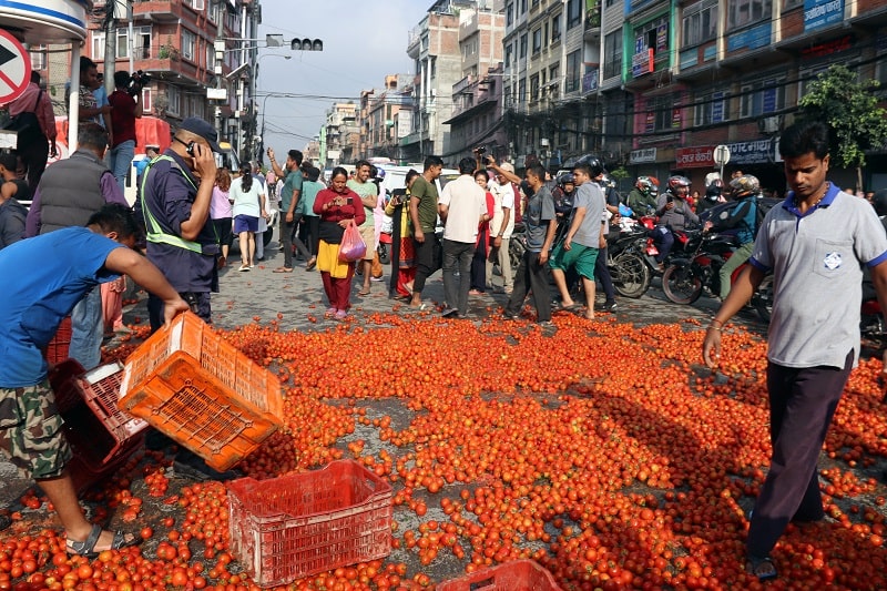 कालीमाटी बजारमा गोलभेँडाको कारोबार सामान्य, किलोको ६ देखि १० रुपैयाँ थोक मूल्य