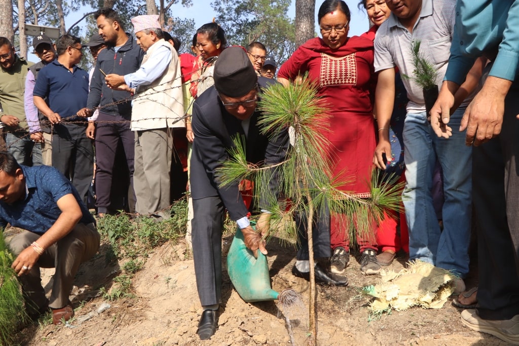 भक्तपुर नगरपालिकाद्वारा विश्व वातावरण दिवसको अवसरमा वृक्षारोपण