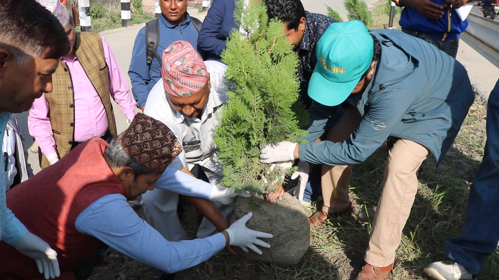 समृद्धिका लागि सूर्यविनायको सृजनानगरमा वृक्षारोपण image