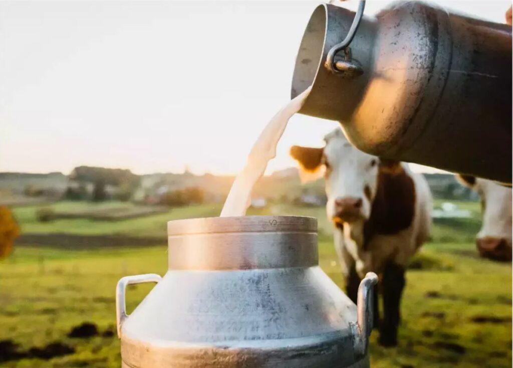 आज विश्व दूध दिवस भव्यताकासाथ मनाइँदै