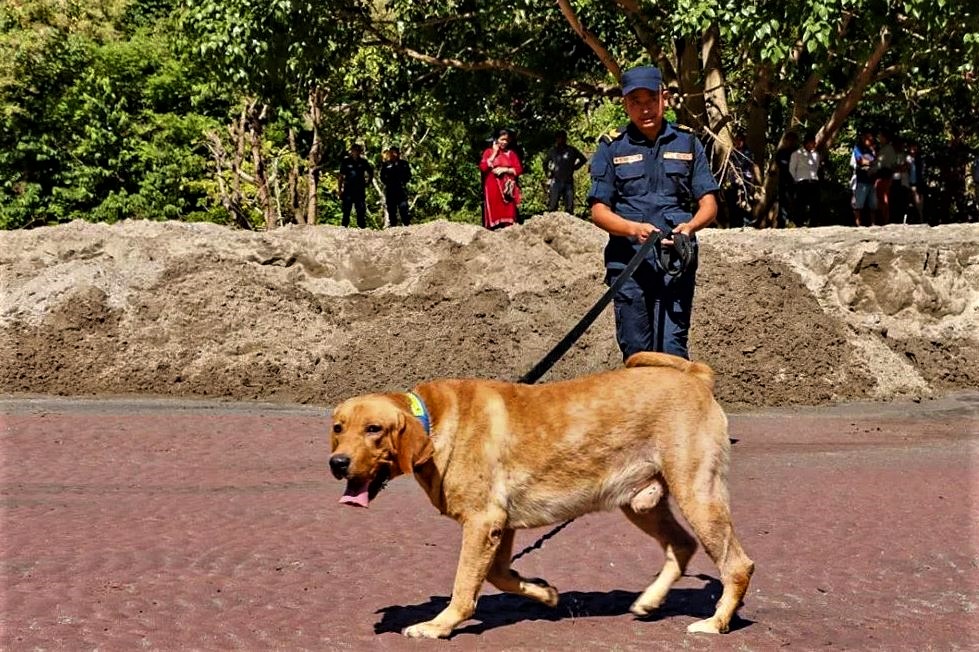 बेपत्ता भएकालाई मोतिले खोज्दै image