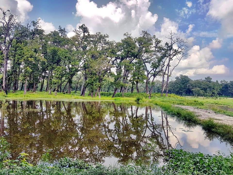 जाखोर ताल