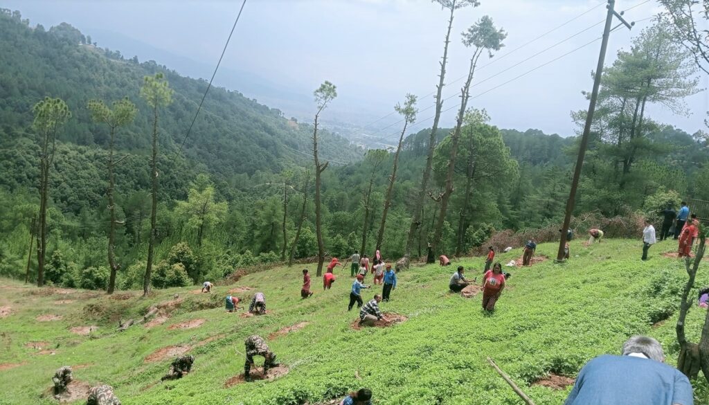 गङ्गा सामुदायिक वन क्षेत्रमा वृक्षारोपण