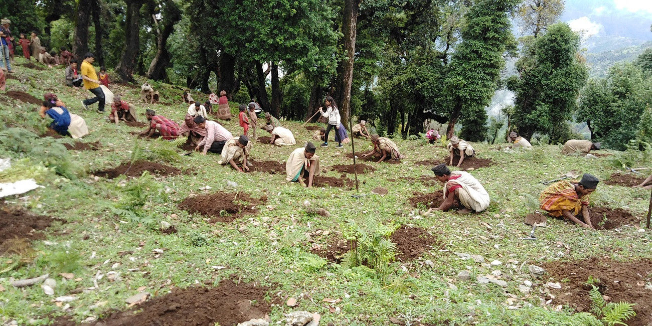 कृषि श्रमिकको ज्याला १८ वर्षदेखि एउटै ( दैनिक २१ रुपैयाँ मात्र image