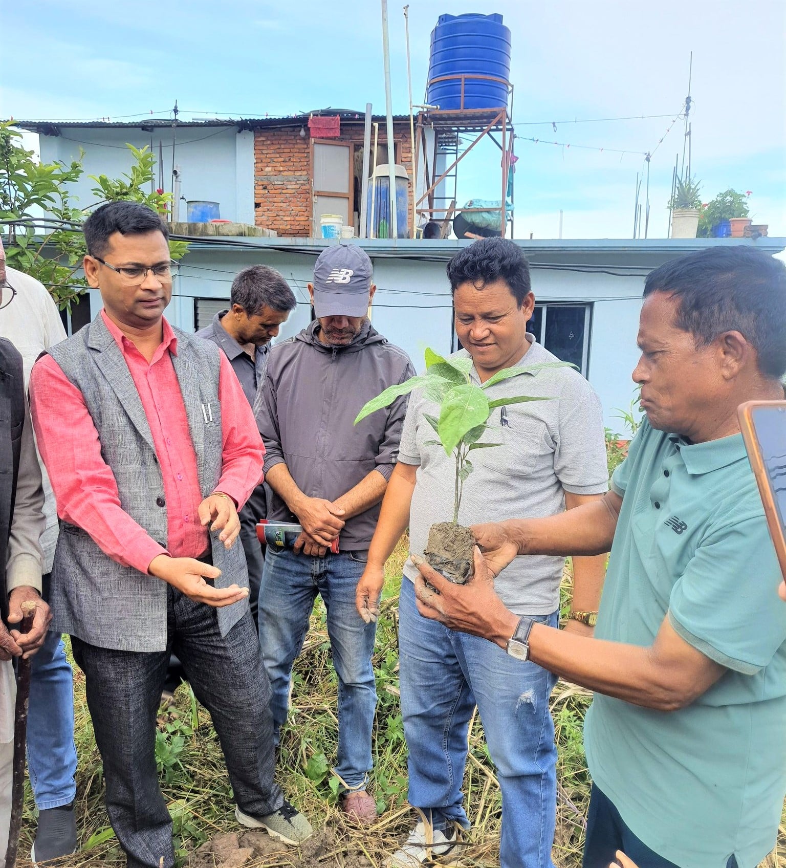 एभोकाडोको शहर बनाउने अभियानः ढकालको वडामा हजारबढी बिरुवा वितरण image