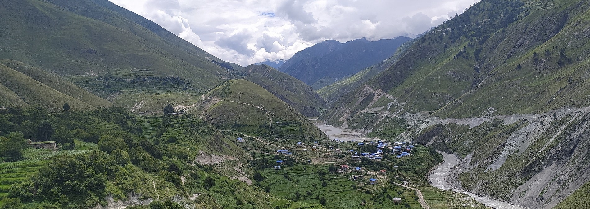 स्थानीयस्तरमा उत्पादित अङ्गुर त्रिपुरासुन्दरी नगरपालिकाले किन्ने image