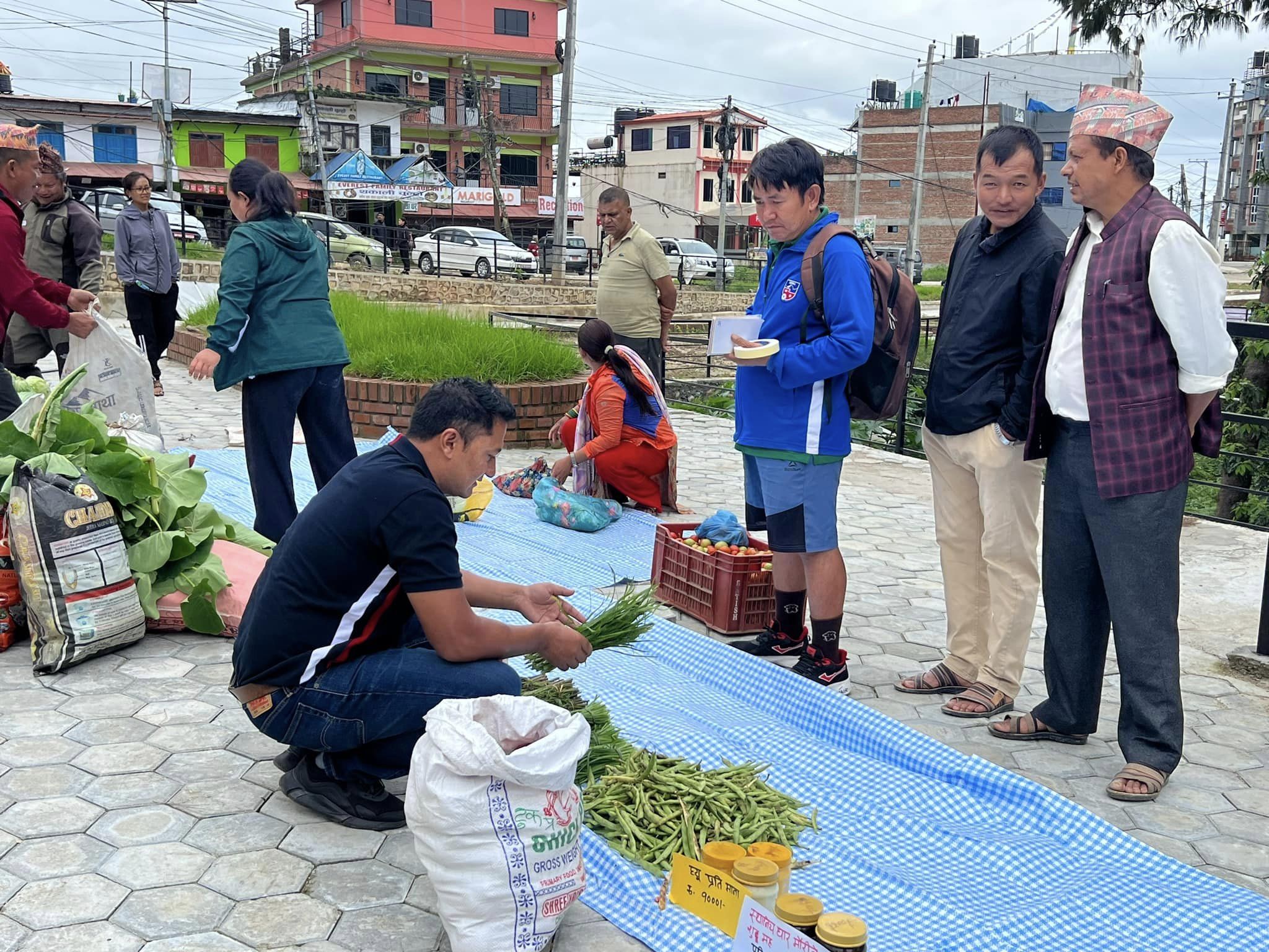 नगरकोटमा प्राङ्गारिक तरकारी हाटबजार सुरु, पहिलो दिनमै किसान उत्साहित