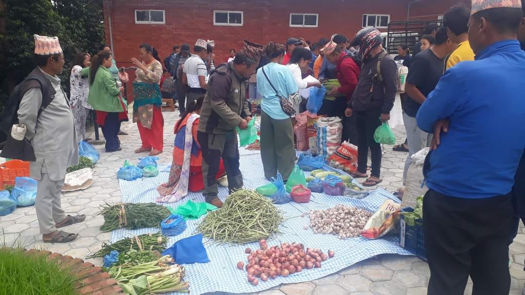 नगरकोटमा प्राङ्गारिक तरकारी हाटबजार सुरु, पहिलो दिनमै किसान उत्साहित