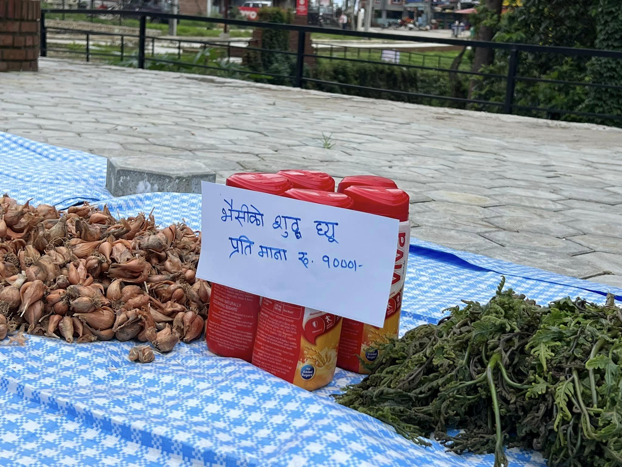 नगरकोटमा प्राङ्गारिक तरकारी हाटबजार सुरु, पहिलो दिनमै किसान उत्साहित