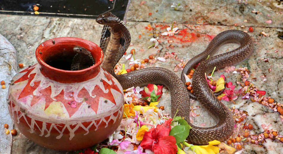 नागलाई विष्णु र शिवका रुपमा मान्ने प्रचलन वैदिक सनातन कालदेखि नै छ image