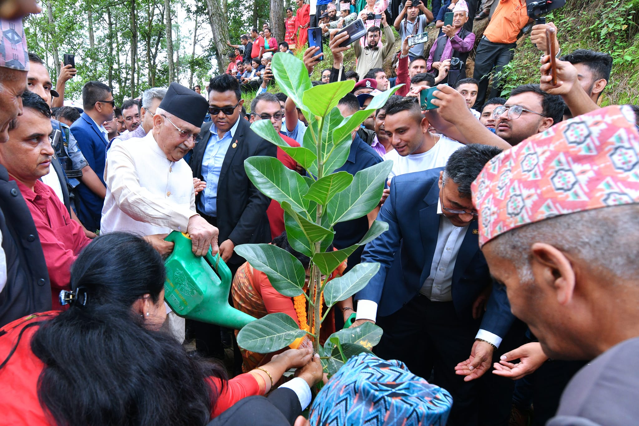 सामुदायिक वनको योगदान महत्त्वपूर्ण, प्रकृतिको रक्षा गर्न सबै लाग्नु पर्ने image