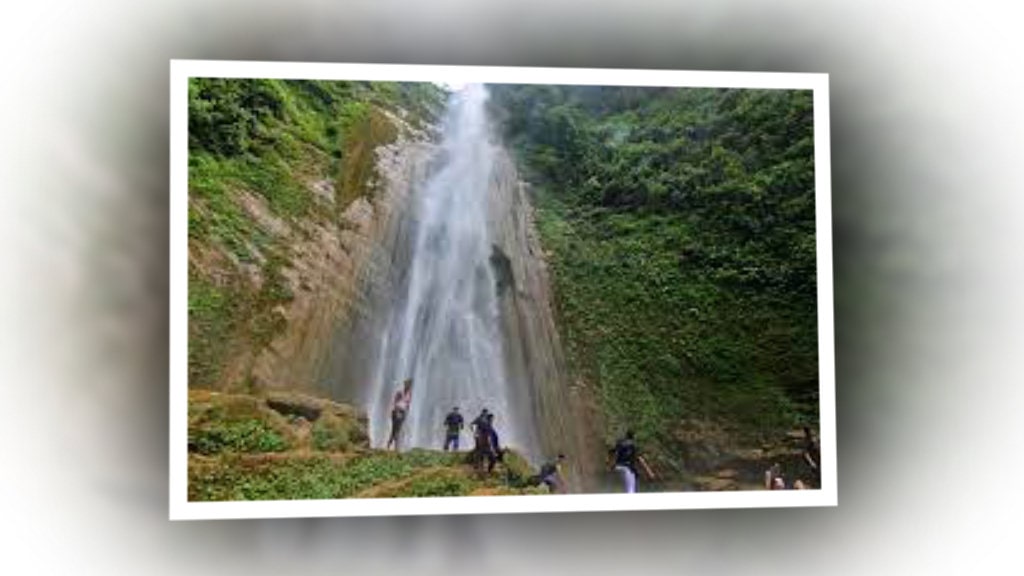 जलविरे झरनाबाट रु २८ लाख राजस्व संकलन image