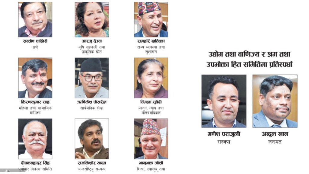 साढे ७ महिना पछि संसदीय समितिमा नेतृत्व image