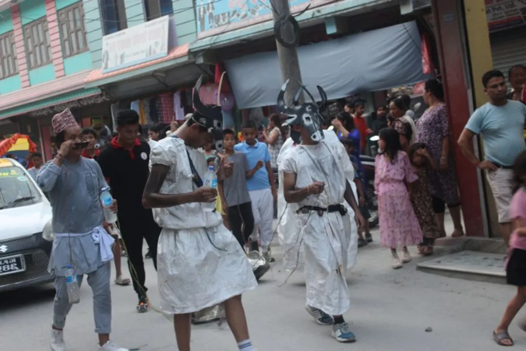 बेनीमा गोरु नाच प्रदर्शन