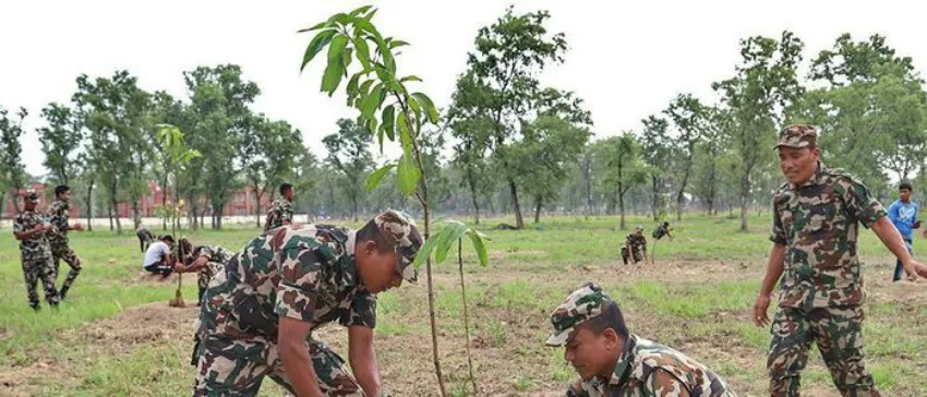 सेनाले रोप्यो दुई हजार बिरुवा