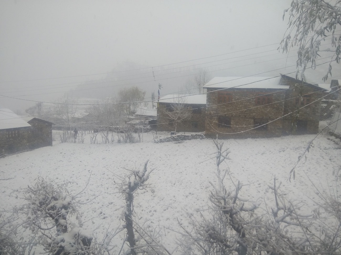 समयमा हिमपात हुँदा हिउँदे बालीलाई फाइदा पुग्ने image