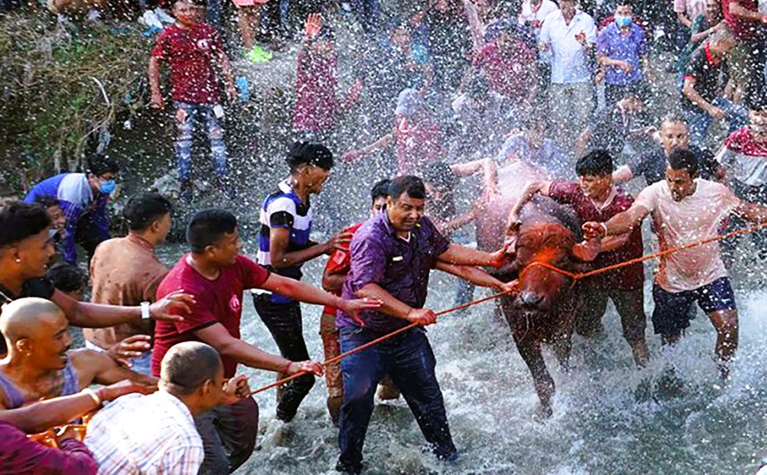दसैंको मुख्य आकर्षण: खम्ये (राँंगो) दौडाएर भक्तपुरमा जात्रा image