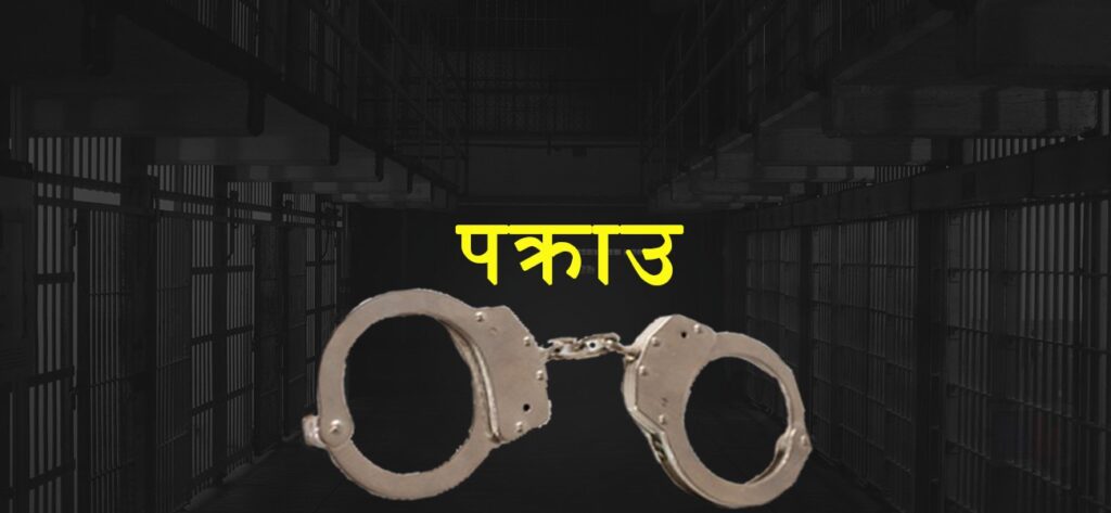 धरौटीमा छुटाइदिने बहानामा ९ लाख ठगी गर्ने दम्पती पक्राउ