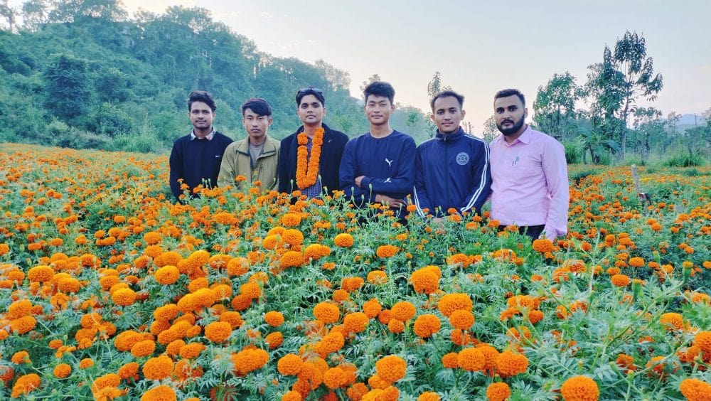 पढ्दै कमाउँदै स् विद्यार्थी फूलखेतीमा रमाउँदै