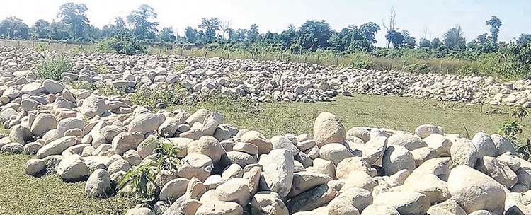 चुरेभावर क्षेत्रको चोर बाटो हुँदै रोडा ढुंगाको अवैध कारोवार