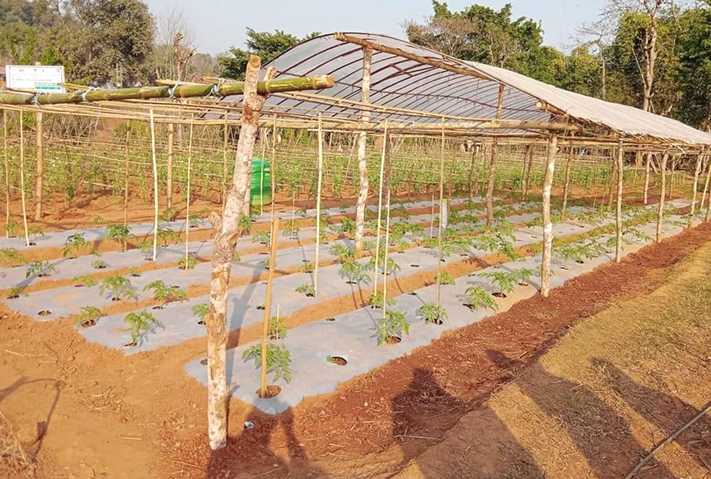 एक करोड ३२ लाख ११ हजार तीन सय ४९ जना कृषि क्षेत्रमा आबद्ध image