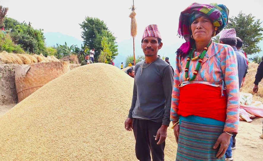 बम्जन परिवार सम्मानित, फलाए १६८ मुरी धान
