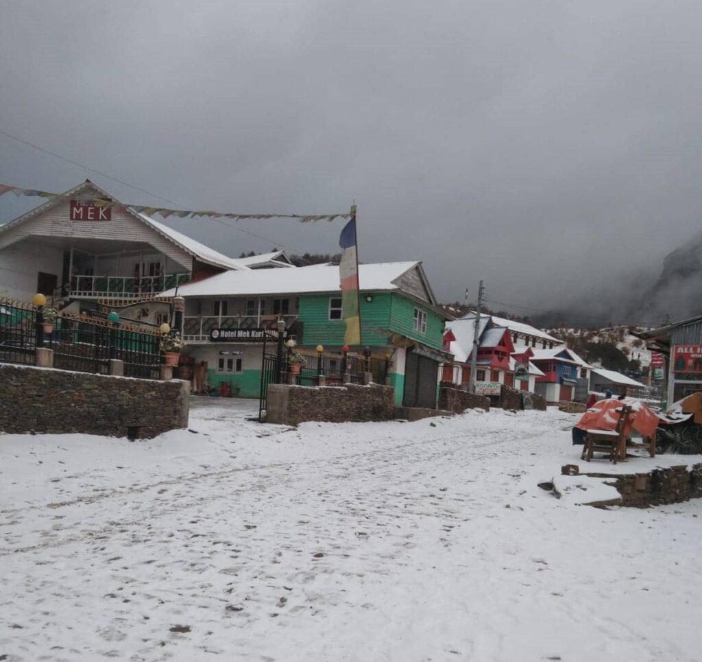 कालिञ्चोककोमा यो वर्षकै पहिलो पटक हिमपात, हिउँ परेपछि व्यवसायी खुशी