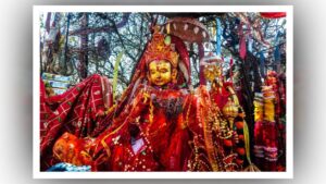 फागुनमा पाथीभरामा ३१ लाखभन्दा बढी भेटी सङ्कलन image