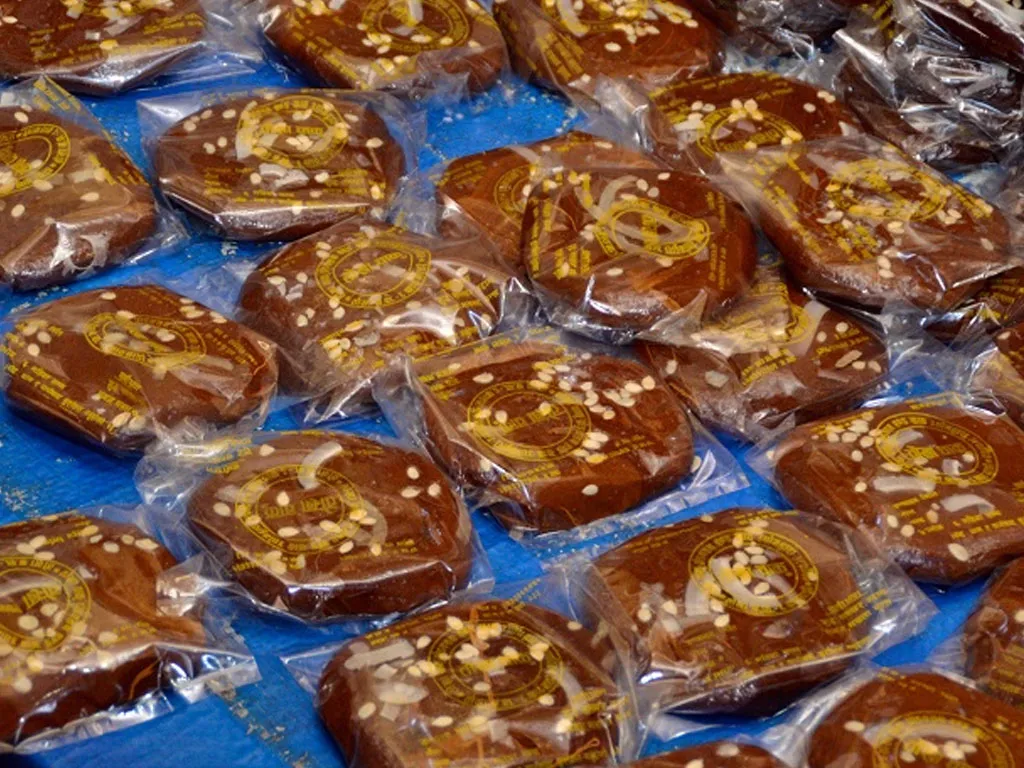 उत्तरायणको पहिलो दिन मकर सङ्क्रान्ति: स्नान, दान र धार्मिक गतिविधिमा भक्तजनको चहलपहल image