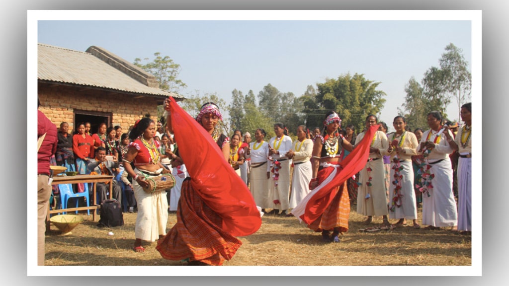 थारू गाउँमा माघीको उल्लास