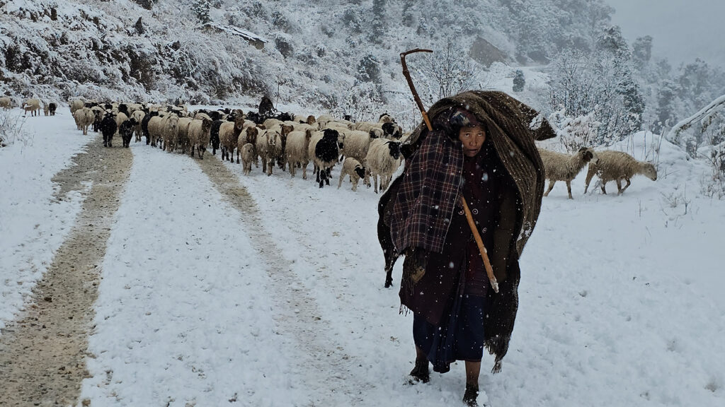 हिमपातले अवरुद्ध मध्यपहाडी राजमार्ग