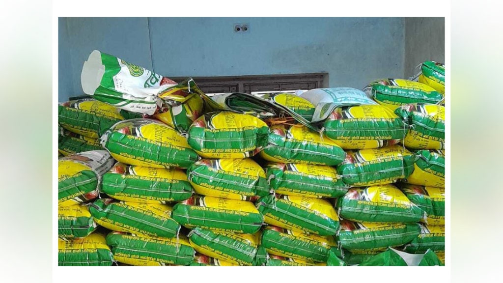 डोटीमा उत्पादित उन्नत मकैको बीउ झापामा बिक्री