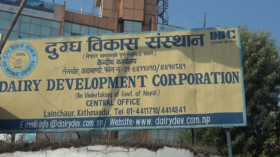 दुग्ध विकास संस्थानद्वारा किसानलाई ४८ करोड भुक्तानी image