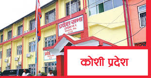 कोशी प्रदेशसभा बैठक आज बस्दै, कांग्रेस अनुपस्थित हुने