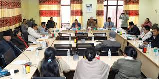 संवैधानिक परिषद्सम्बन्धी विधेयक परिमार्जनसहित पारित
