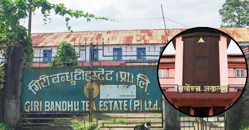 गिरिबन्धु टि–इस्टेटमा एमालेको आपत्ति