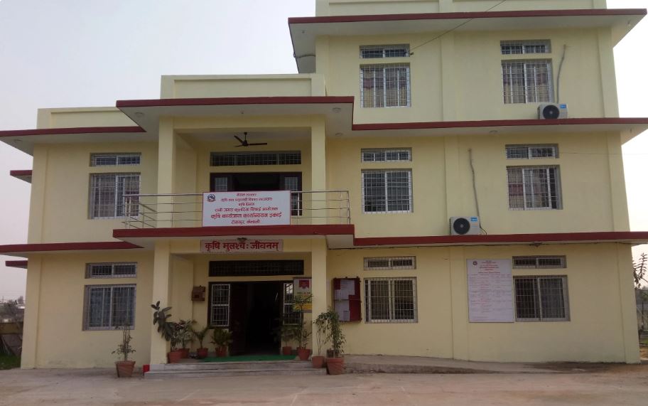 सिँचाइ आयोजनाले किसानका गोठ सुधारमा सघाउँदै