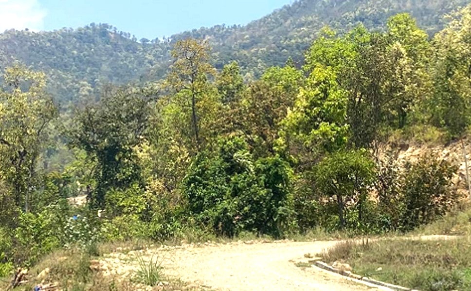 सडक बनेको १८ वर्षपछि स्तरोन्नति