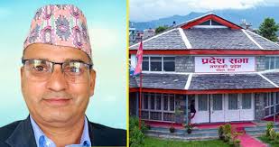 फणीन्द्र देवकोटामाथिको कारवाही कार्यान्वयन नगर्न सर्वोच्चको अन्तरिक आदेश